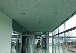 20130905_131953.jpg