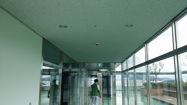 20130905_131953.jpg
