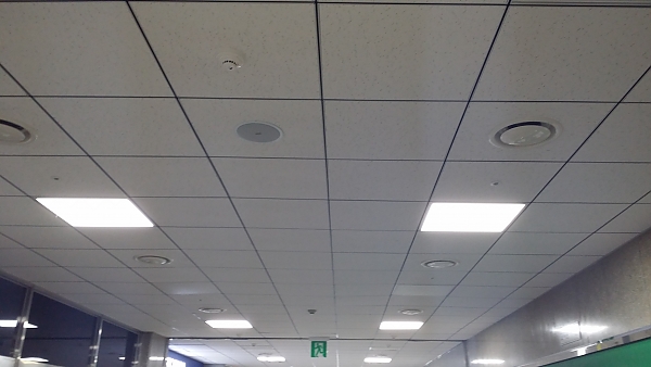 20130906_113401.jpg
