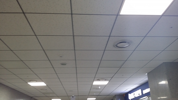 20130906_113459.jpg