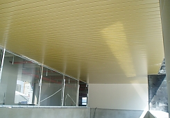 P1010001.JPG