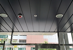 20130905_115407.jpg
